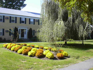 Main Photo